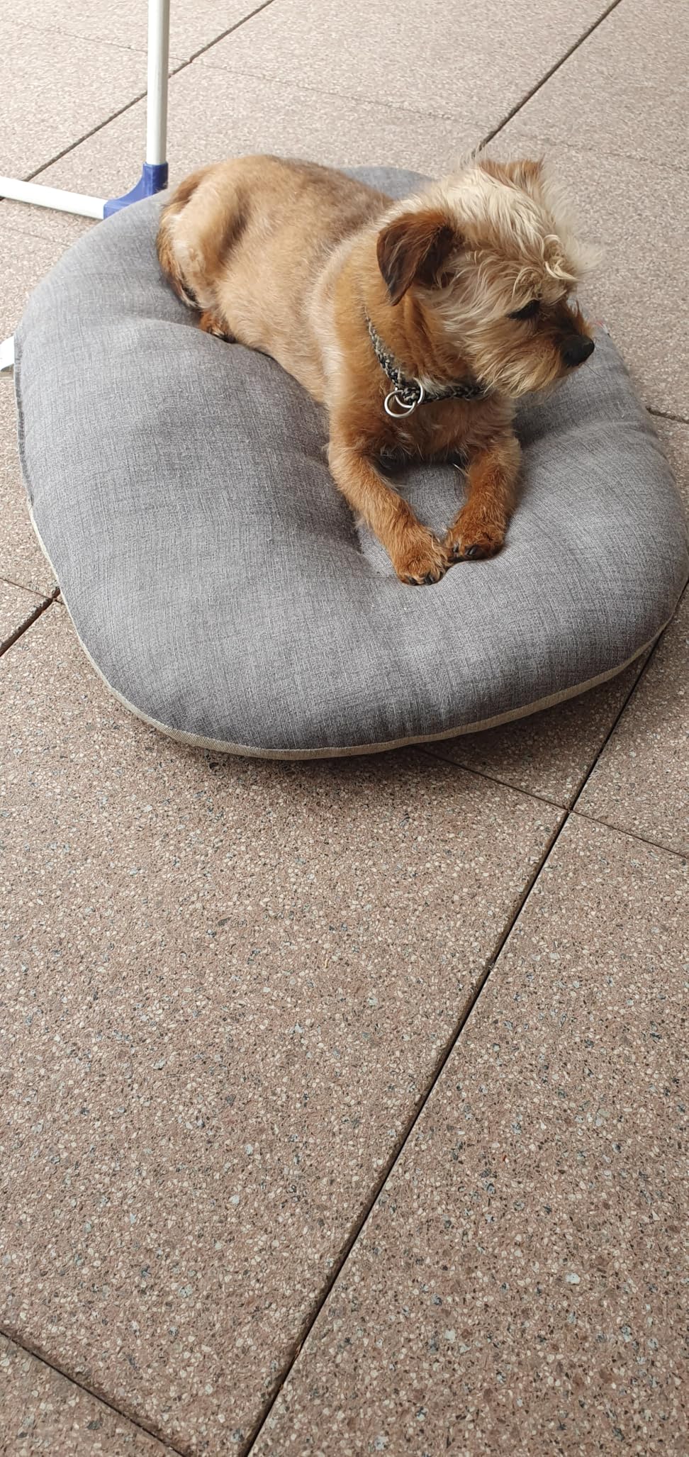 Confortable et joli