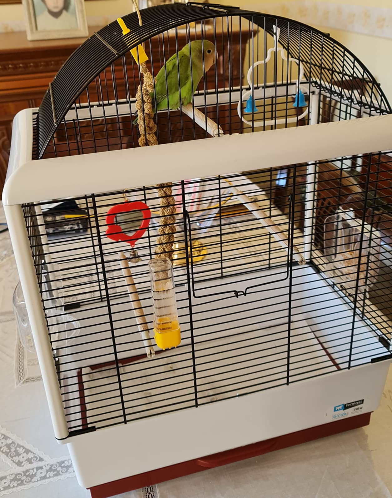 Superbe cage