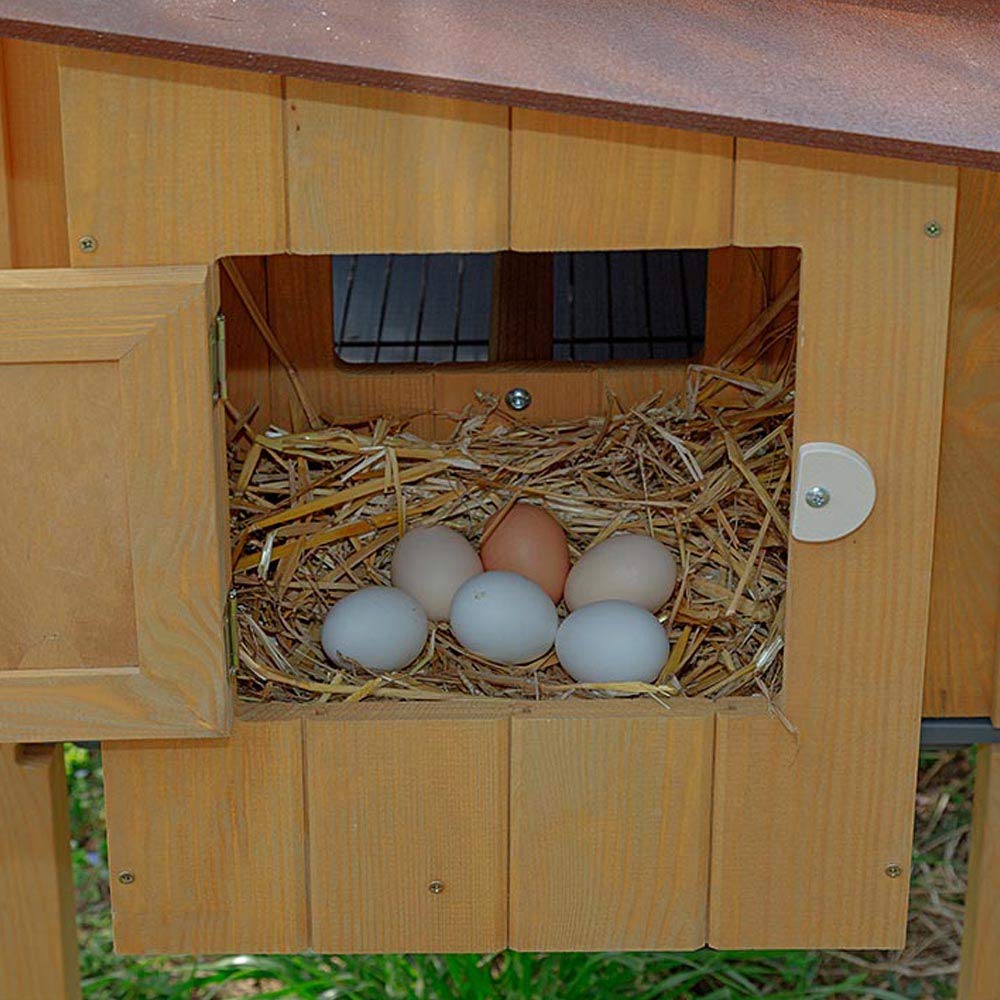 ferplast-hen-house-10-poulailler-ext-rieur-en-bois-fsc-pour-4-poules-124x98xh110 image 4