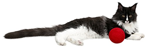kerbl-pet-balle-de-jeu-laine-rouge-pour-chat-10-cm-avec-hochet image 7