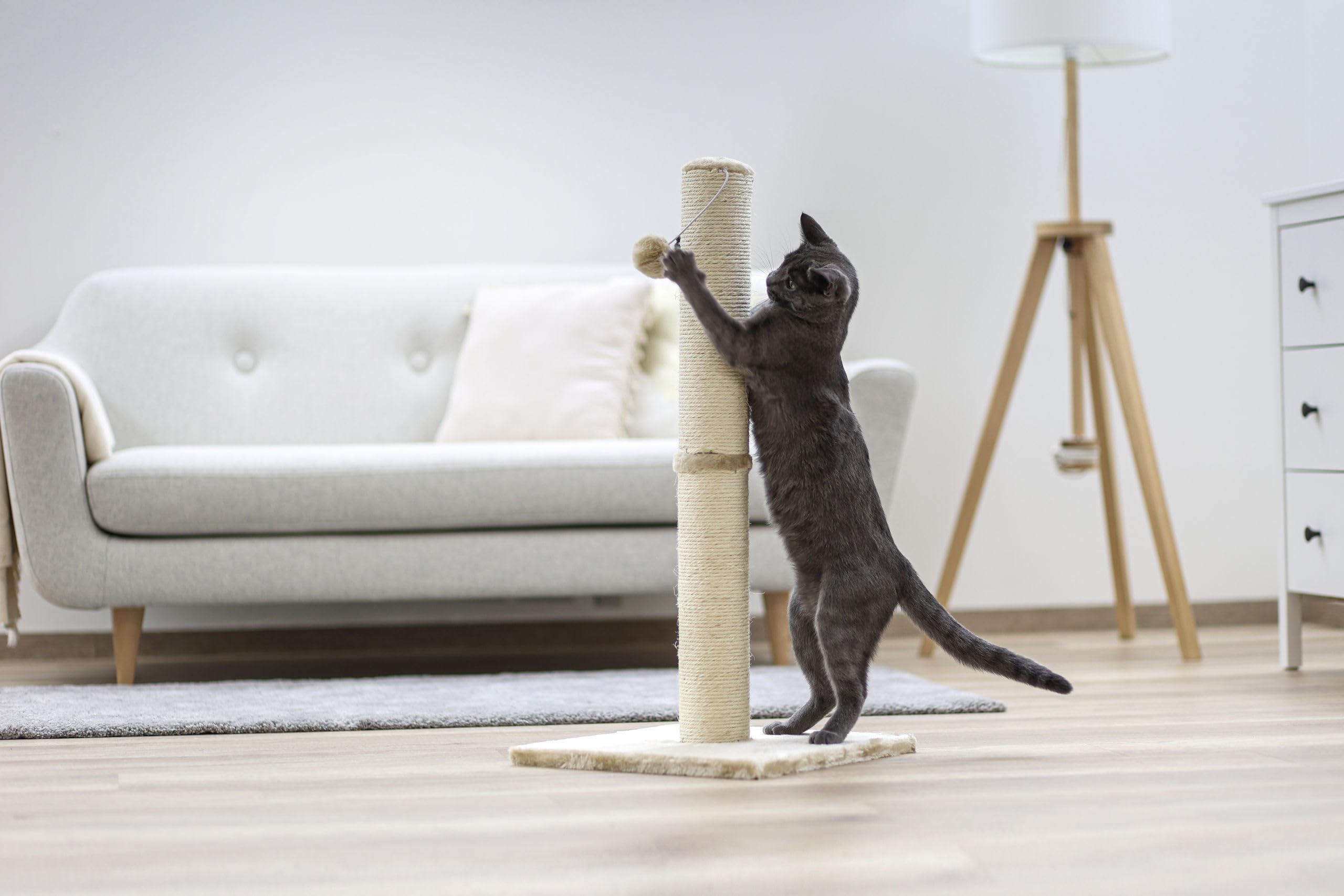 kerbl-opal-maxi-arbre-chat-beige-sisal-naturel-38-x-38-x-78-cm image 3