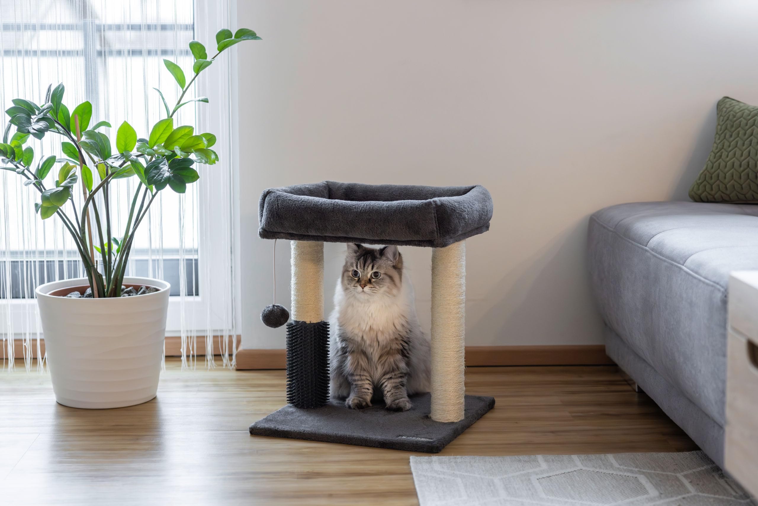 kerbl-pet-arbre-chat-rosi-gris-48-cm-avec-griffoir-sisal image 7