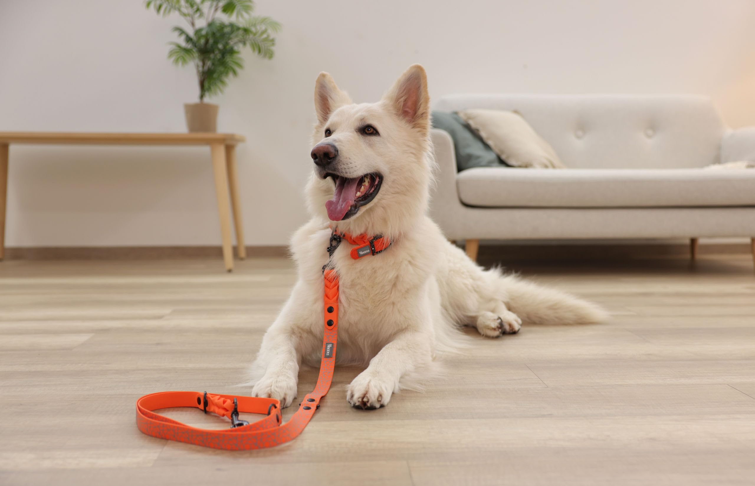 kerbl-puno-collier-pour-chien-orange-25-mm-x-46-55-cm image 6