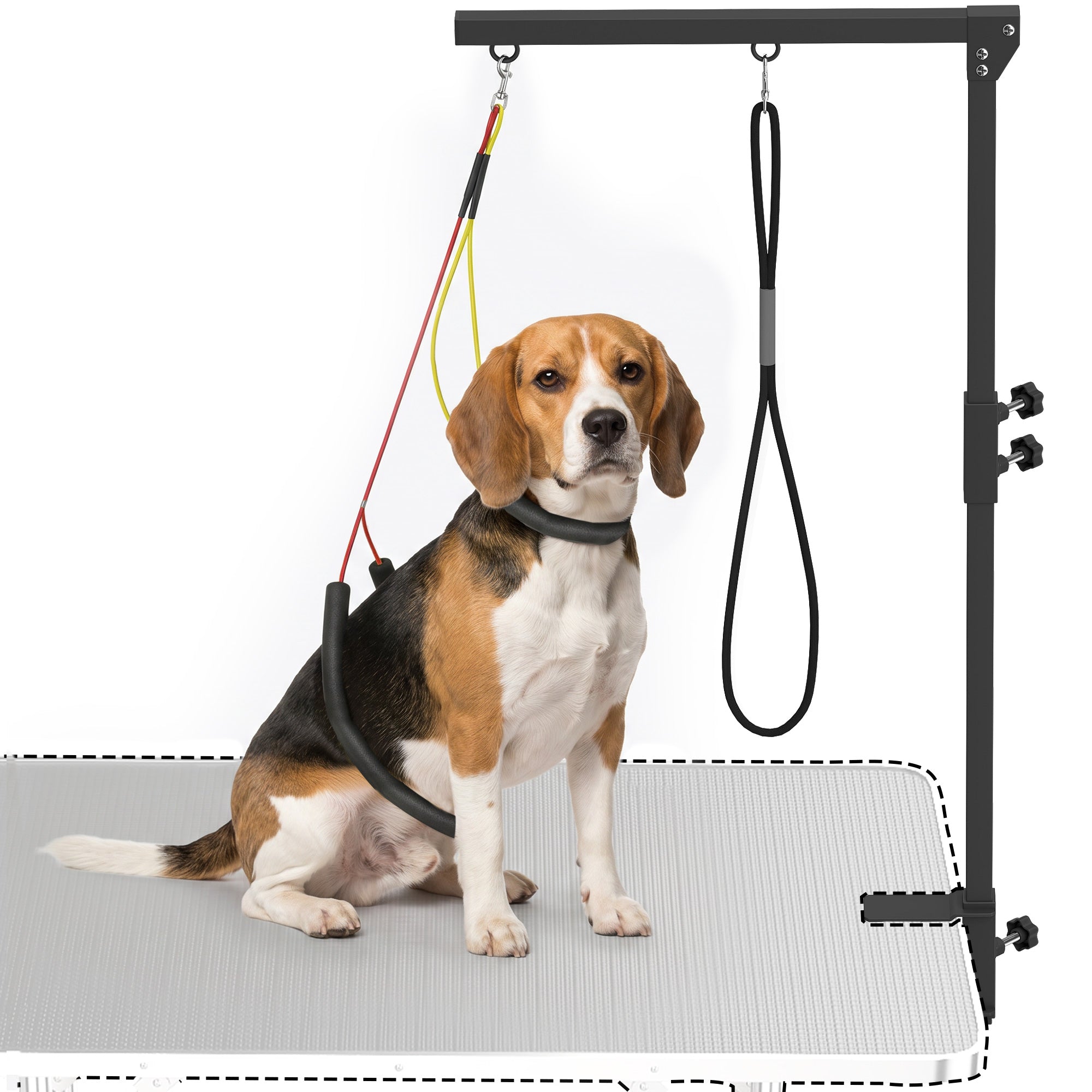 pawhut-bras-de-toilettage-r-glable-48-82-cm-avec-pince-et-2-laisse-noir image 2