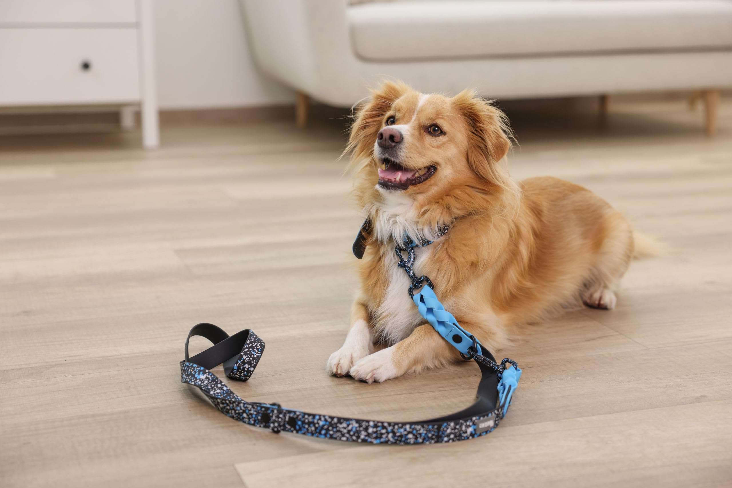 kerbl-lima-collier-chien-bleu-noir-25-mm-x-36-45-cm image 1