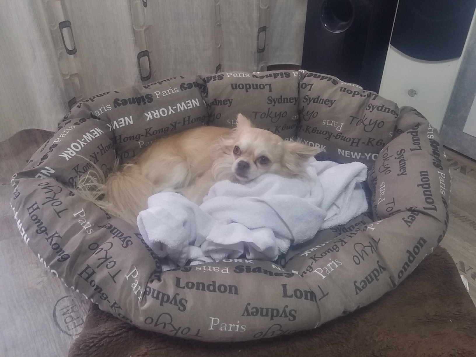 Bien mais coussin fin