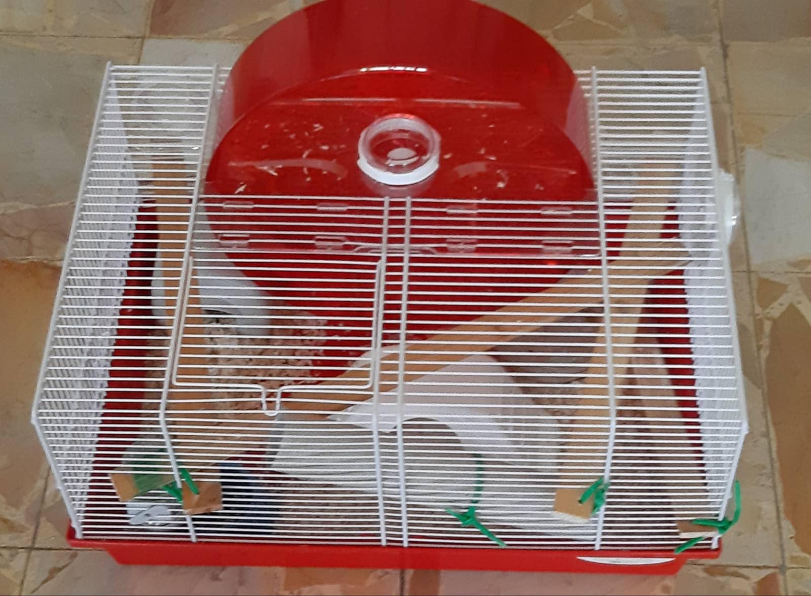 Parfaite pour notre hamster