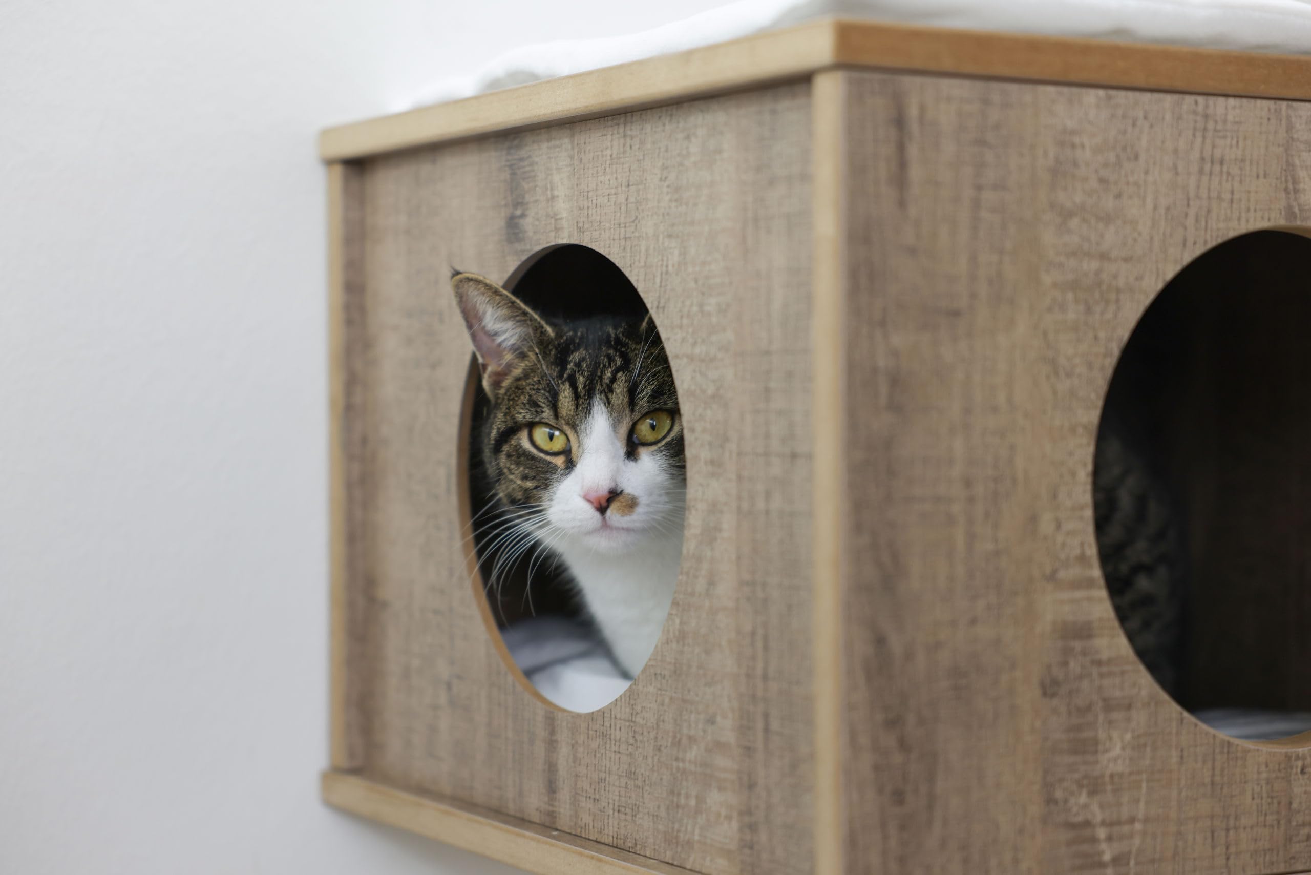 kerbl-pet-arbre-chat-mural-dinari-light-niche-couchage image 4