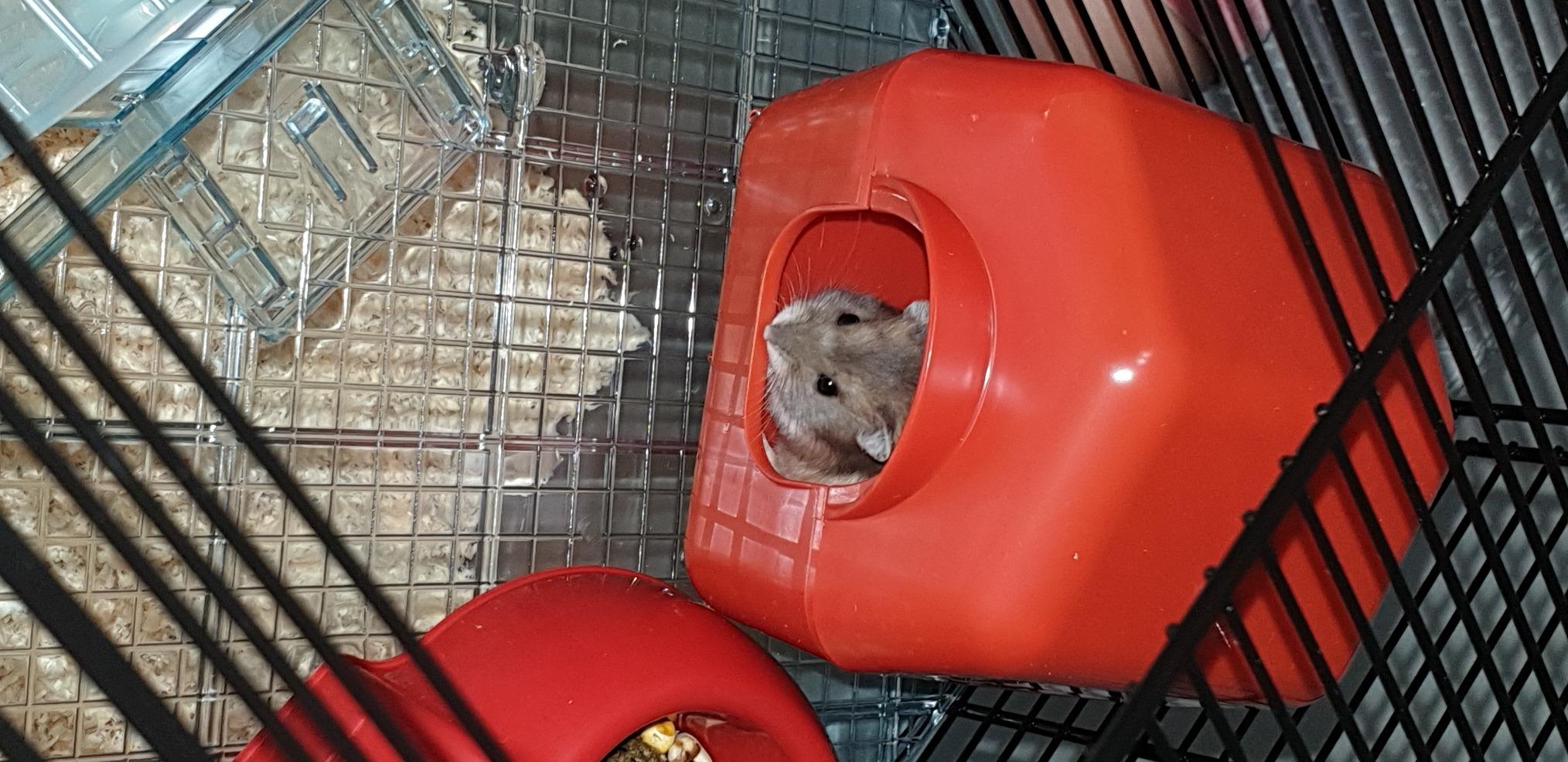 Bonne cage complète