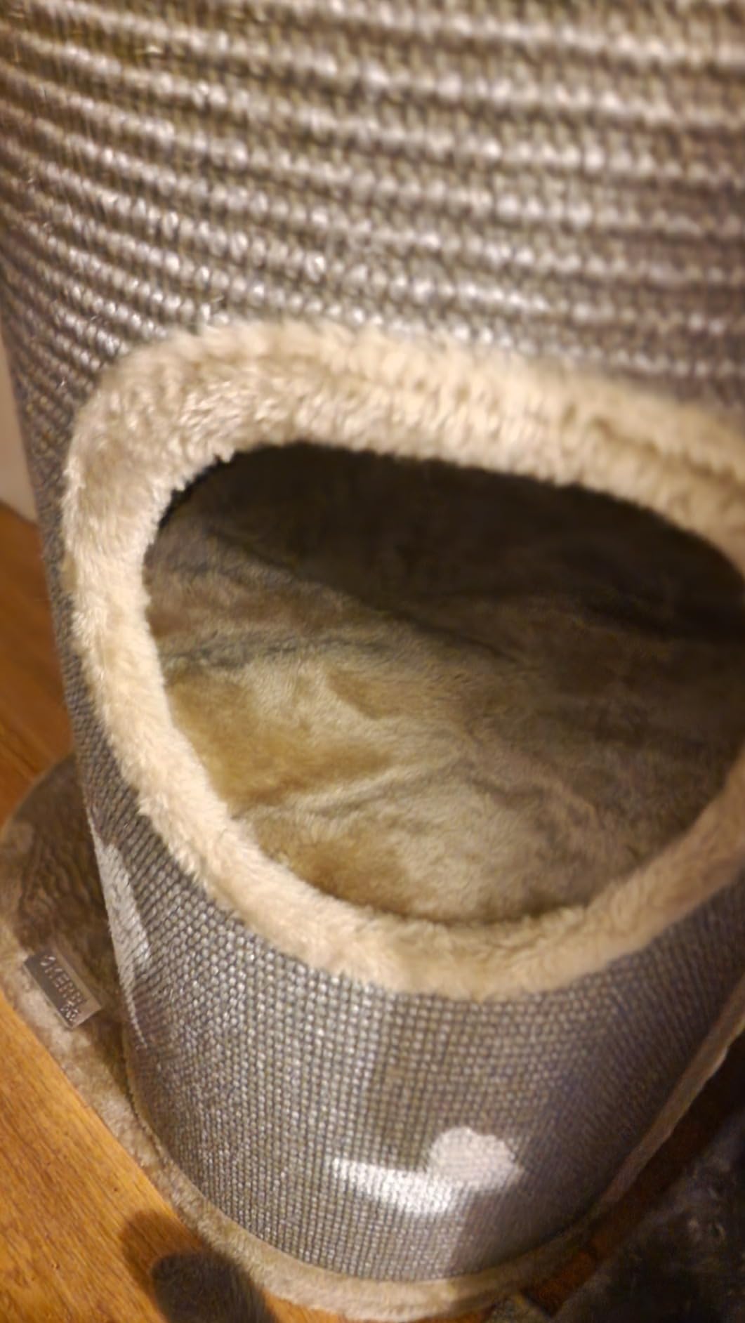 Adopté direct par mes 3 chats