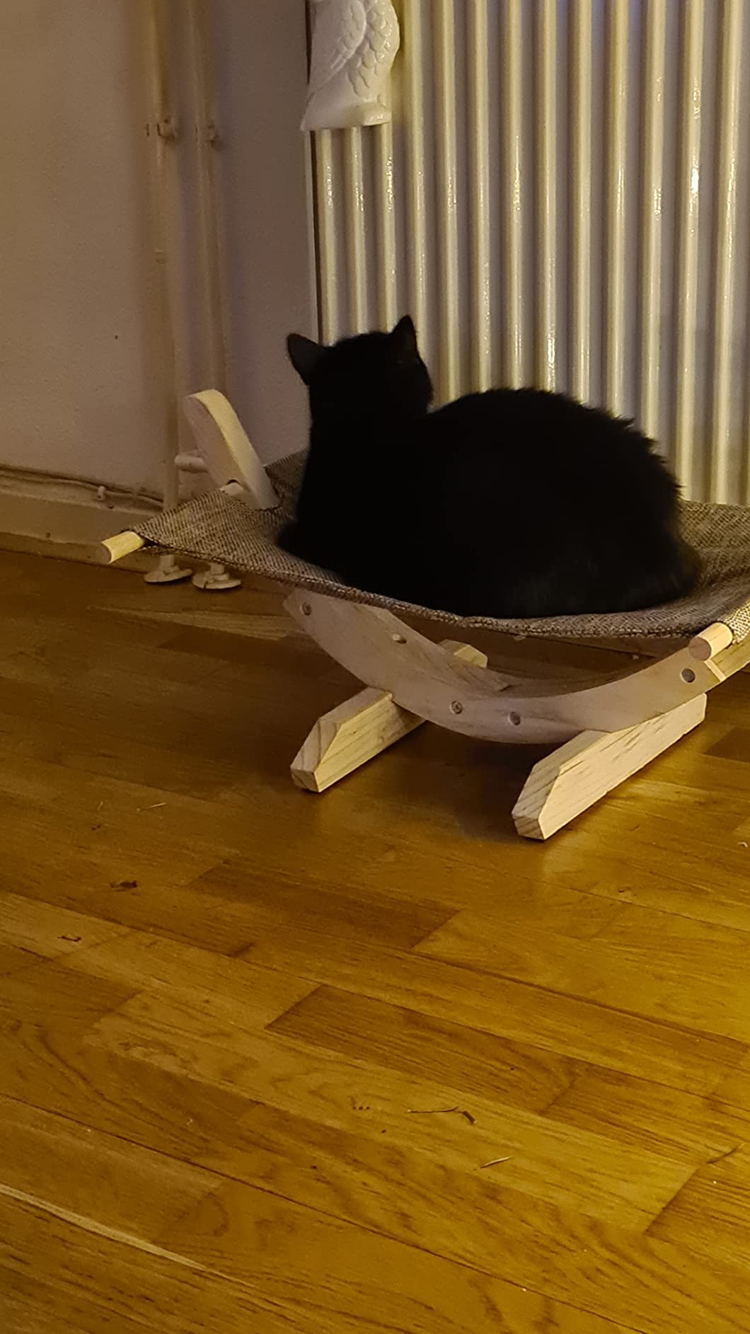Mon chat adore son hamac