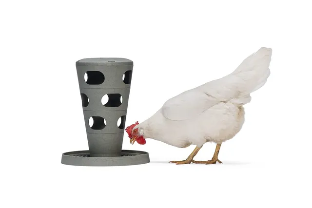 karlie-beeztees-tour-d-alimentation-pour-poules-gris-30-x-30-x-37-cm image 1
