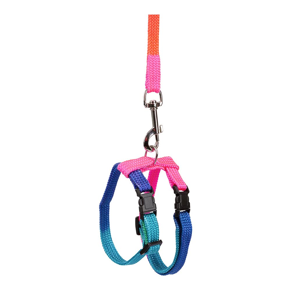 kerbl-pet-harnais-pour-rongeur-avec-laisse-140-cm image 2