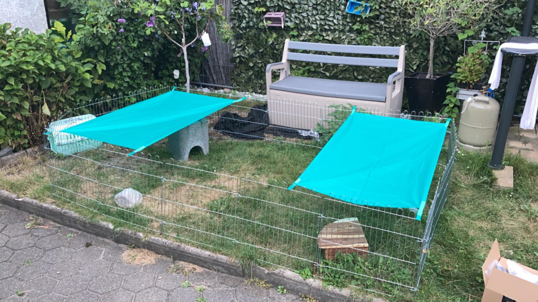 Enfin de l'ombre pour mes lapins
