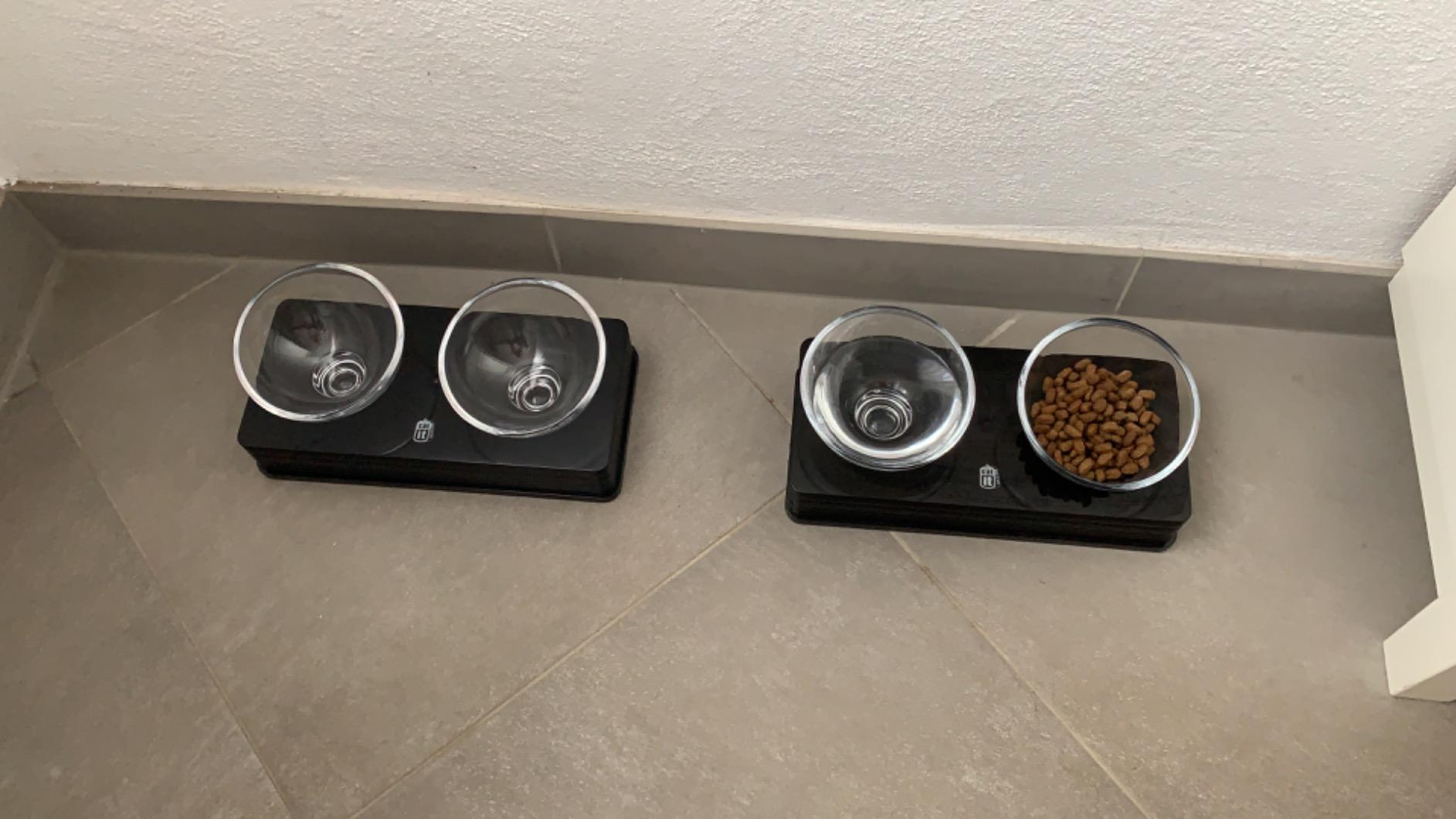 Parfait pour eau + croquettes