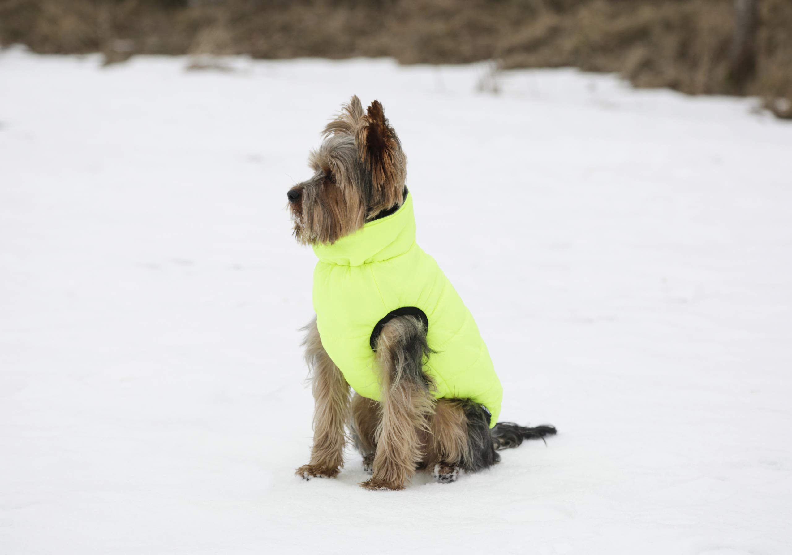 kerbl-pet-manteau-matelass-charmonix-gris-jaune-taille-l-45-cm image 3