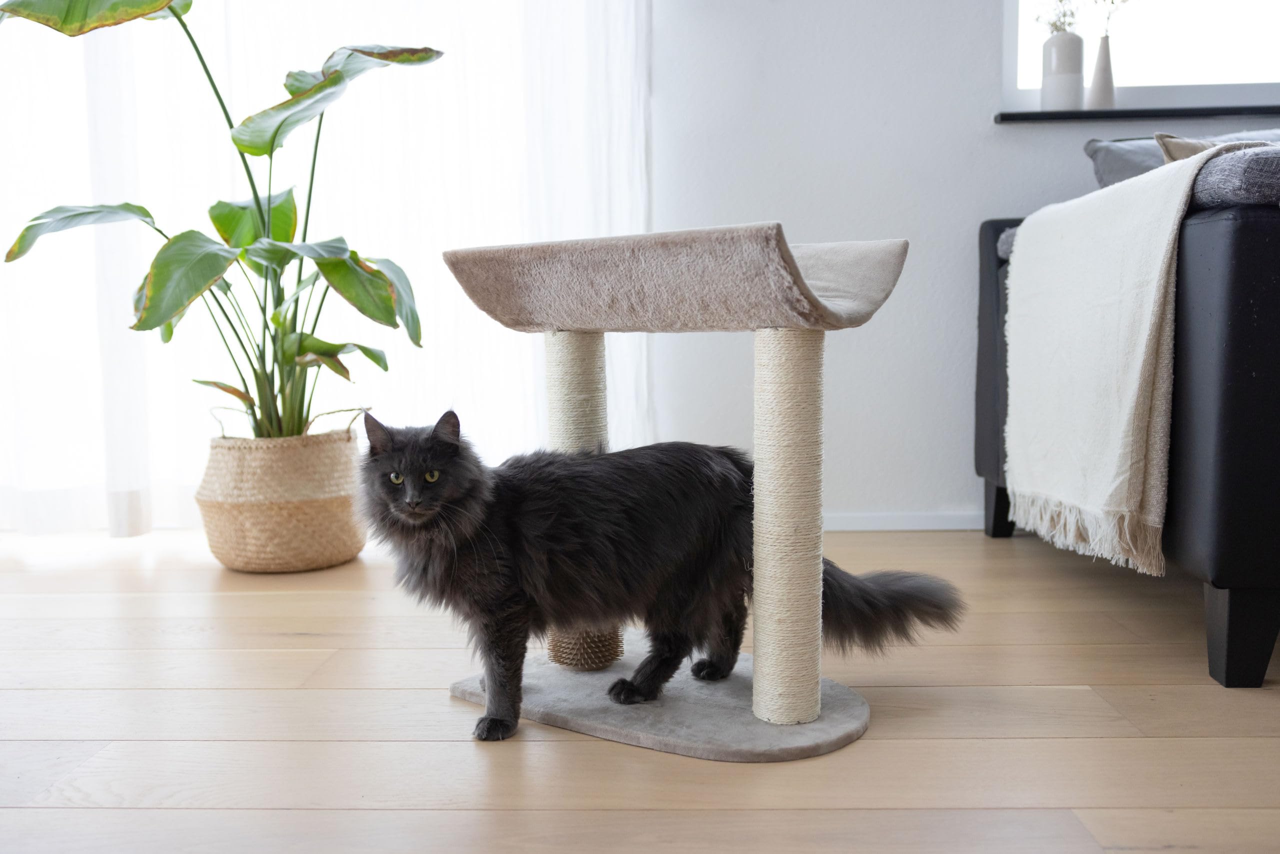 kerbl-pet-arbre-chat-ambiance-taupe-49-x-35-x-56-cm image 4