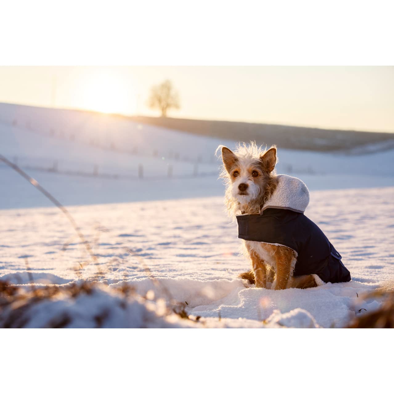 kerbl-pet-manteau-chaud-pour-chien-teddy-48-cm-avec-bandes-r-fl-chissantes image 2