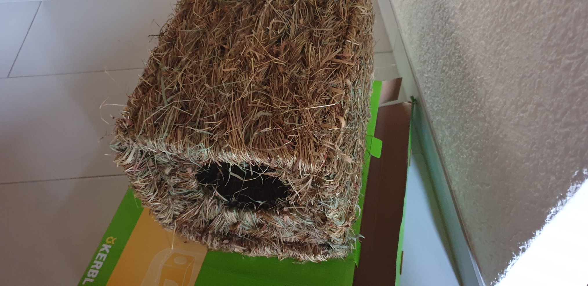 Parfaite cabane pour mes lapins