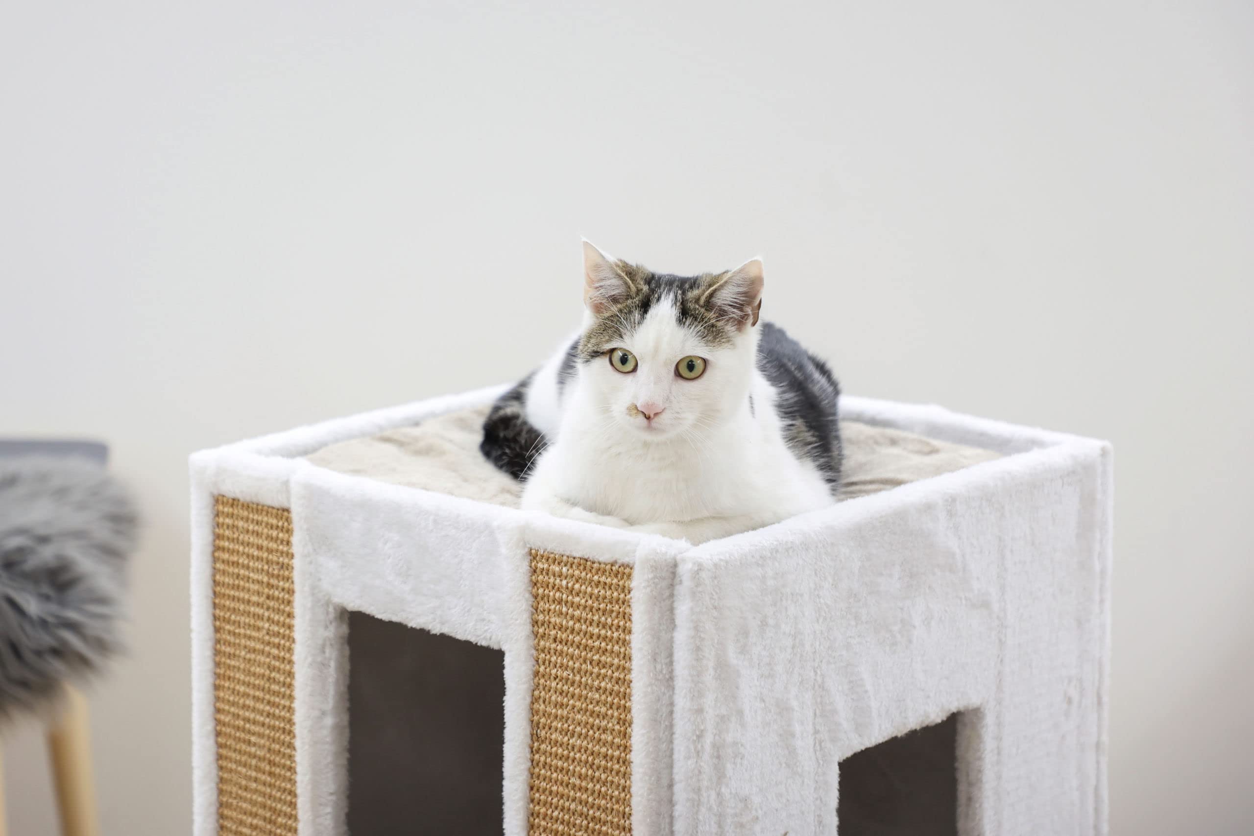 kerbl-galina-tunnel-griffoir-chat-blanc-marron-40-x-40-x-78-cm image 8