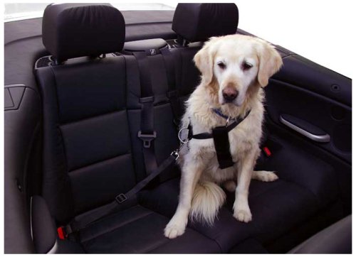 kerbl-sangle-de-s-curit-auto-pour-chien-70-90-cm-noir image 3
