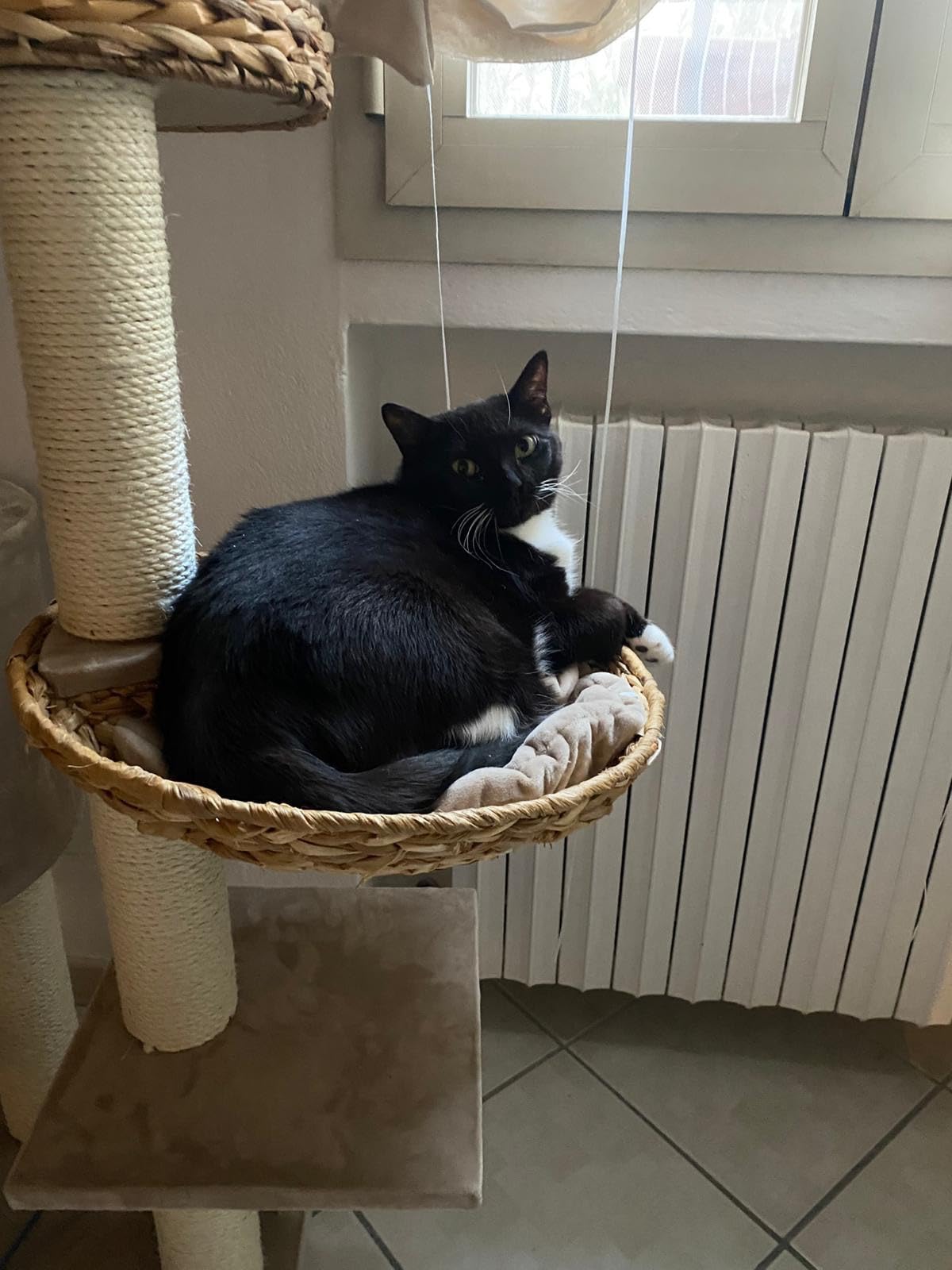 Stable et très joli dans le salon