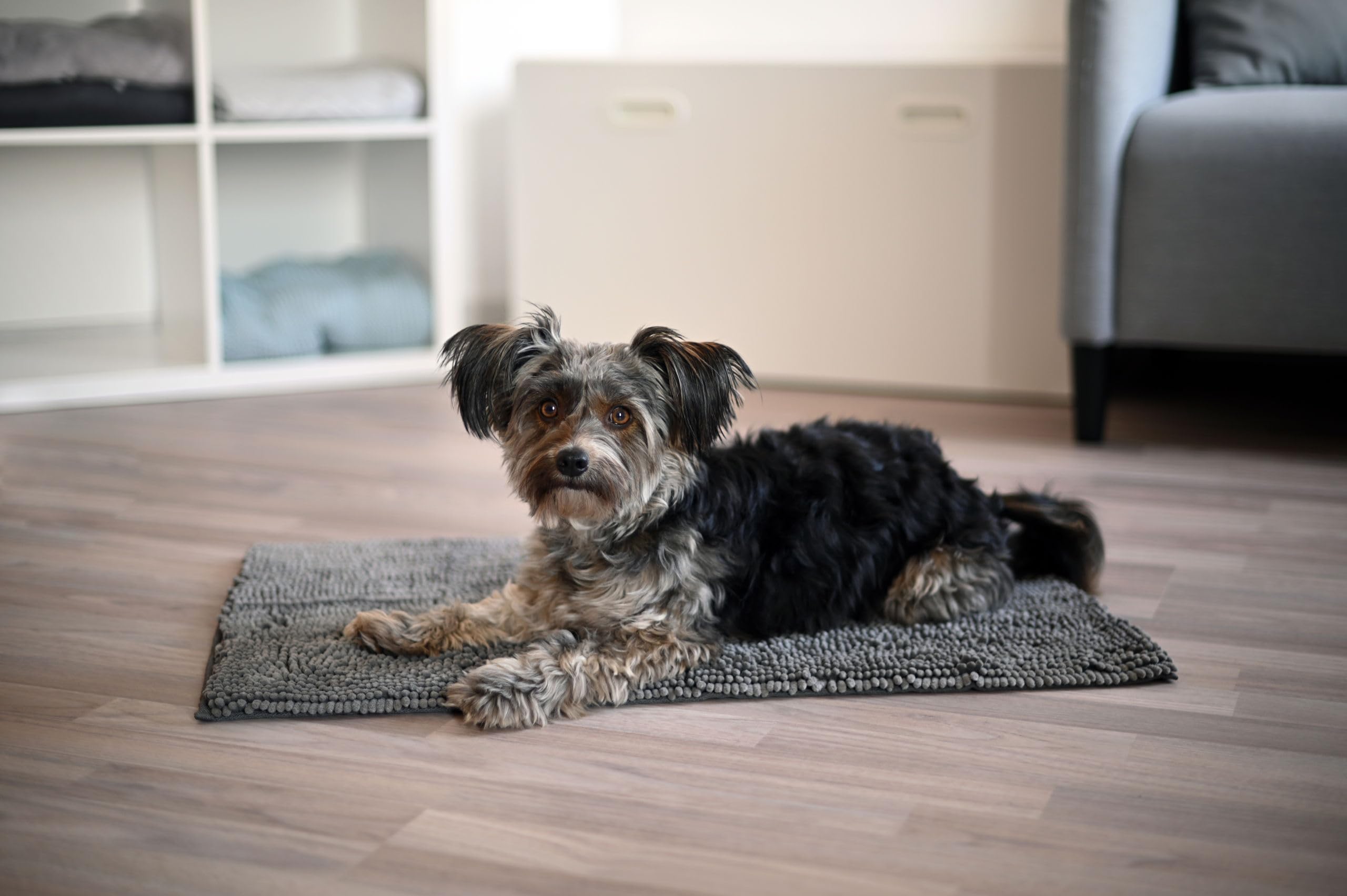 kerbl-pet-tapis-superbed-microfibre-gris-fonc-100-x-65-cm image 3