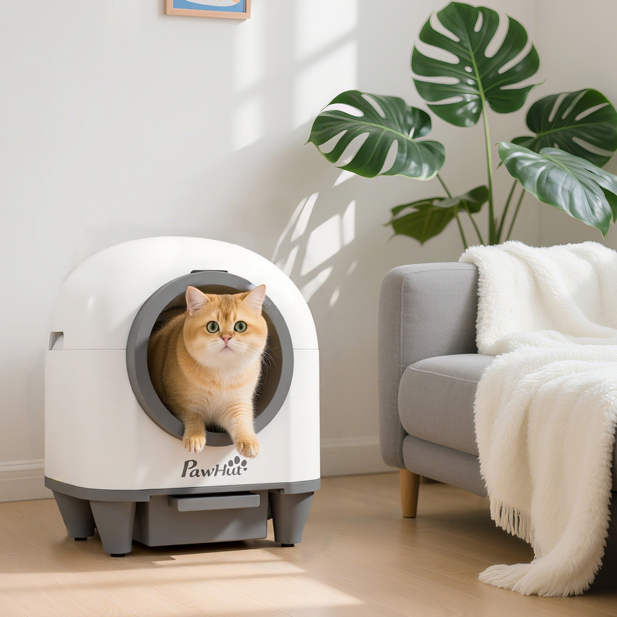 pawhut-bac-liti-re-auto-nettoyant-80l-connect-avec-contr-le-app-multi-chats image 4