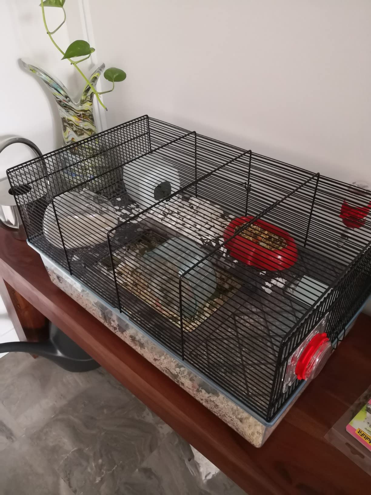 Bonne cage spacieuse