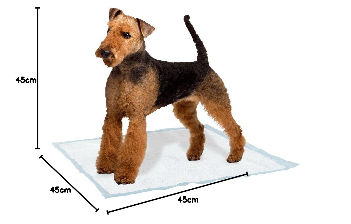 ferplast-genico-large-tapis-hygi-nique-adh-sif-super-absorbant-pour-chien image 4