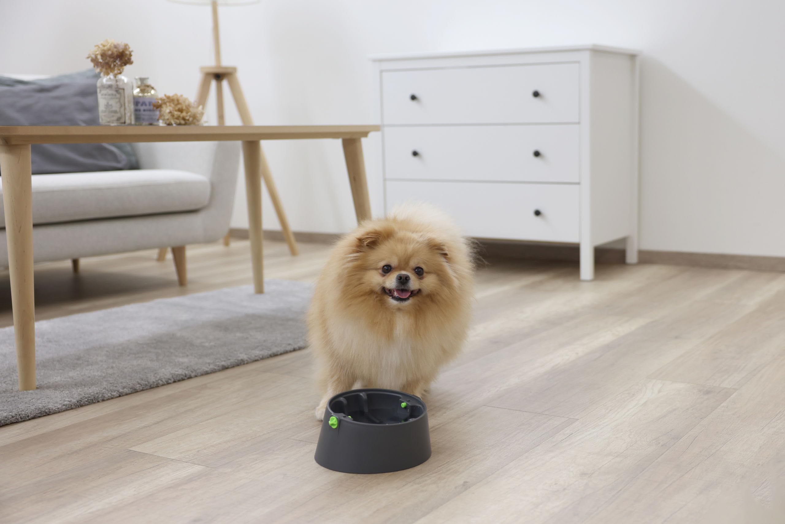 kerbl-pet-multifeeder-3-en-1-pour-chien-et-chat image 7