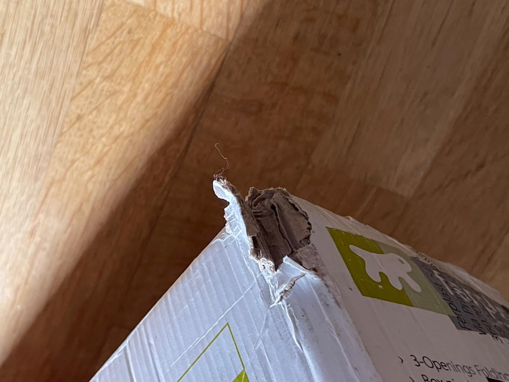 Cage XXL au top