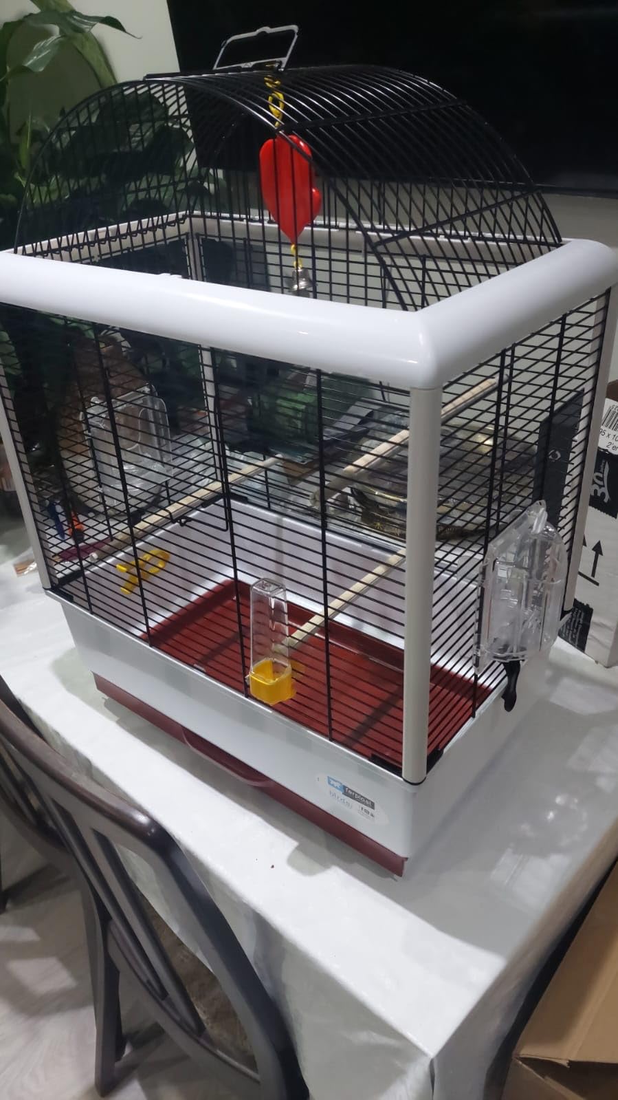Idéale pour mon canari
