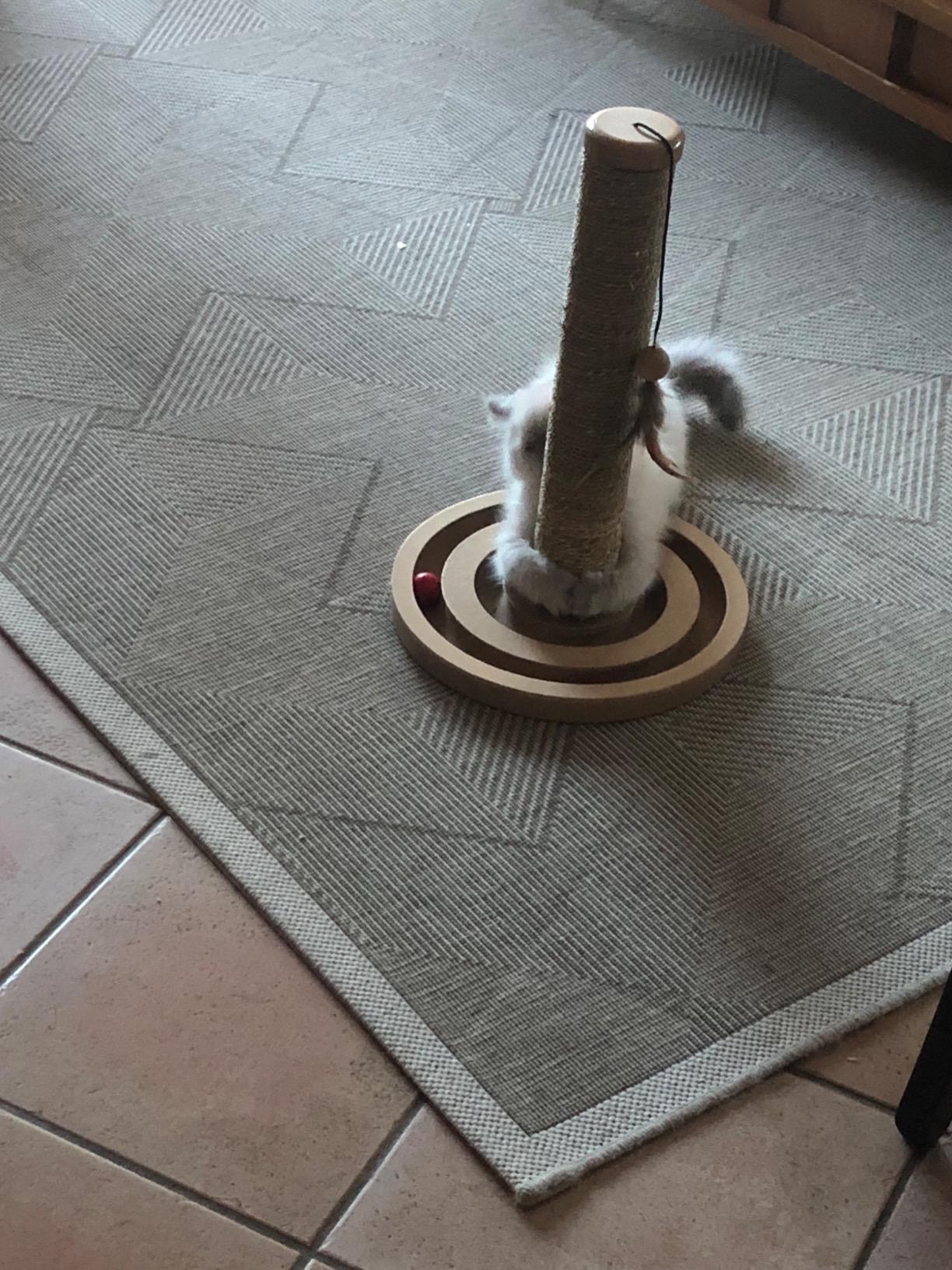 Pratique et pas cher