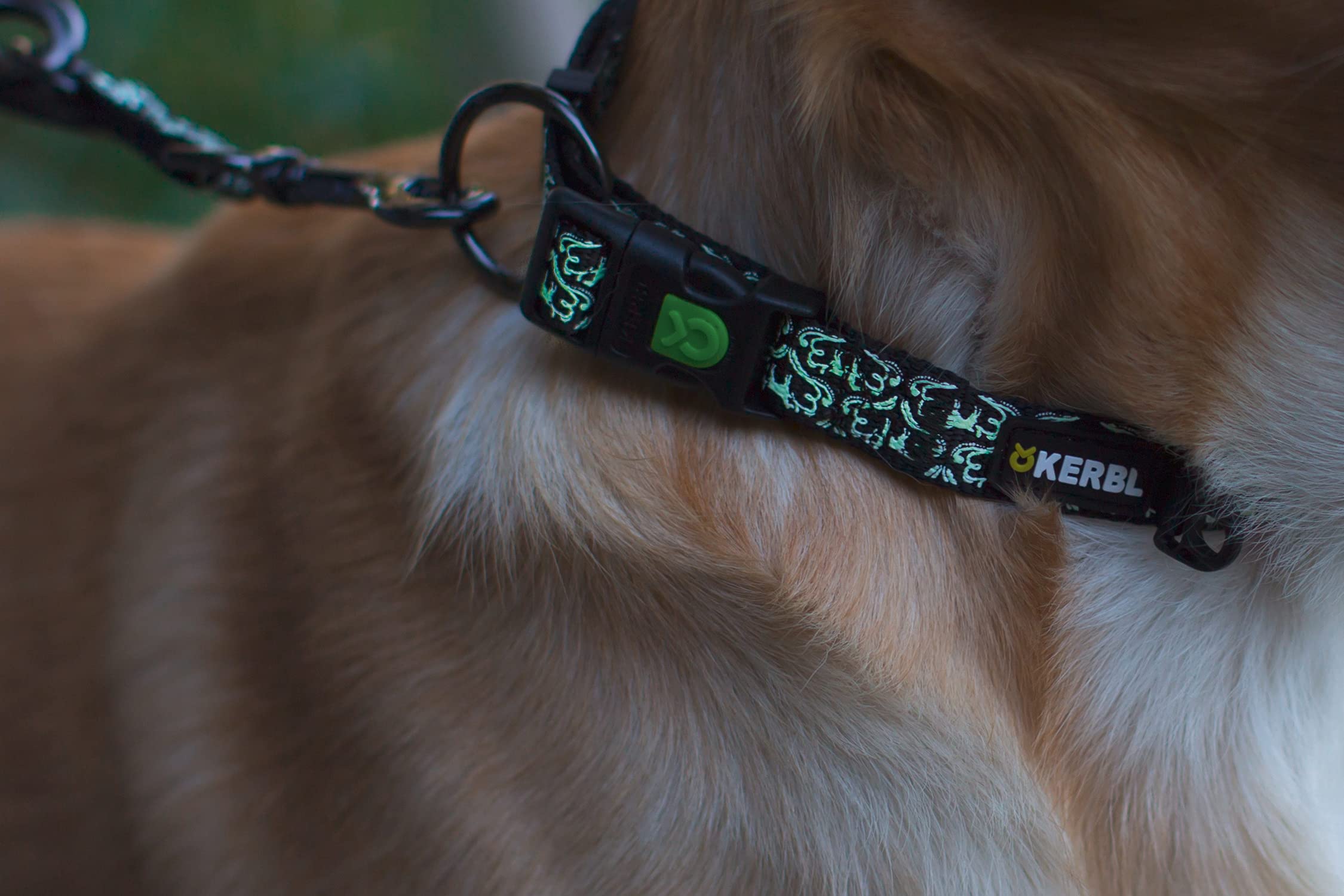 kerbl-shiny-night-collier-pour-chien-25-40-cm-phosphorescent image 5