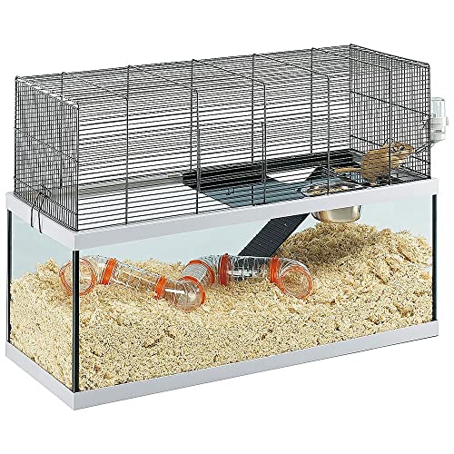 ferplast-gabry-50-cage-en-verre-pour-gerbilles-avec-accessoires image 6