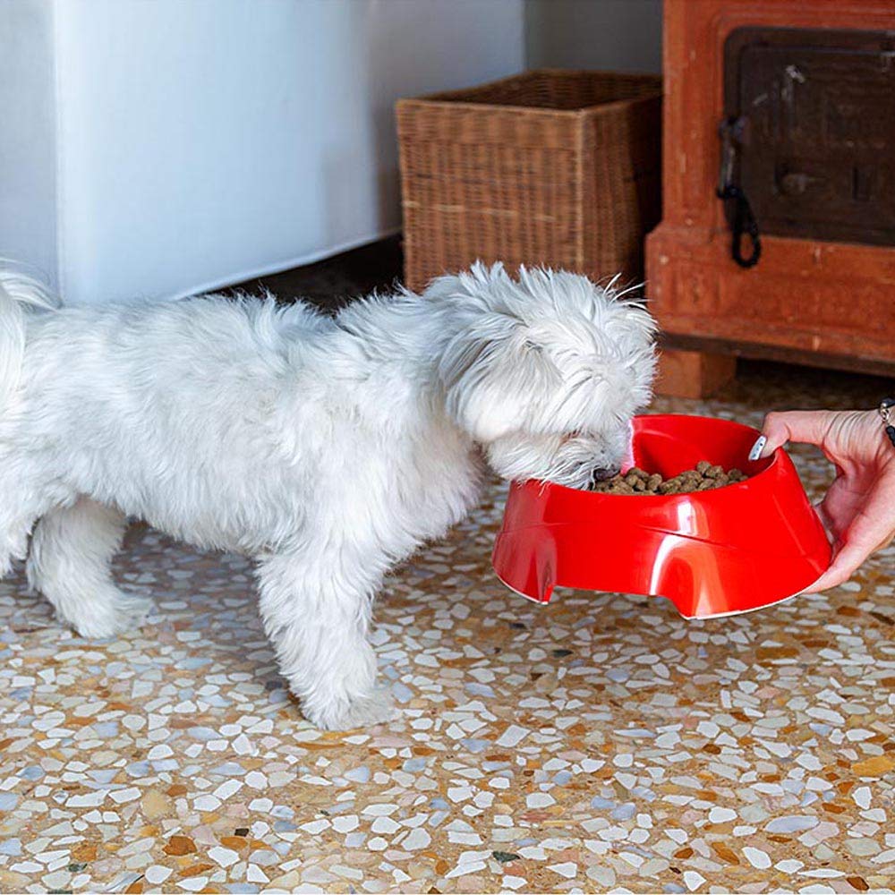 ferplast-magnus-slow-gamelle-anti-glouton-pour-chien-0-5-l-rouge image 3