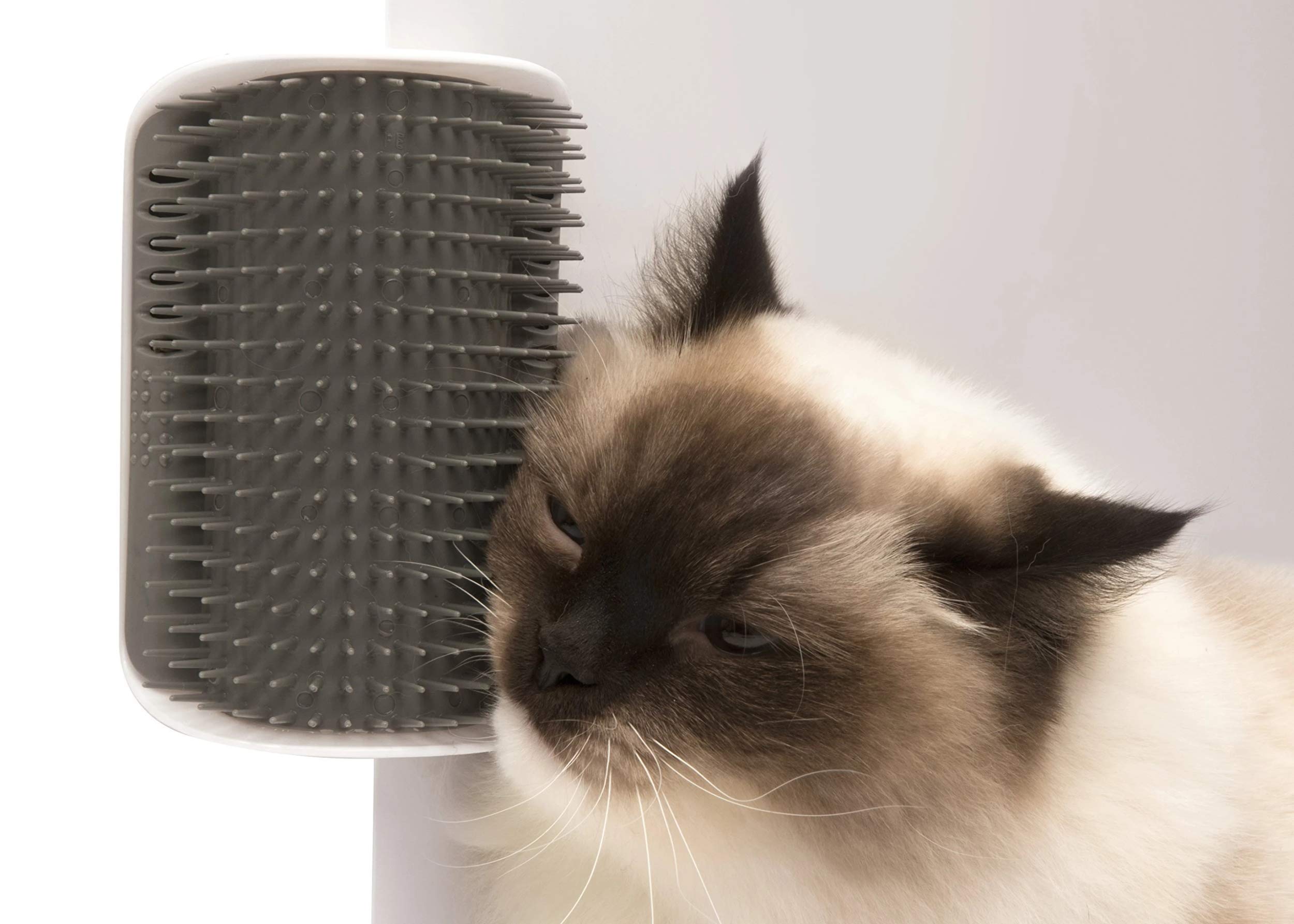 catit-senses-brosse-auto-toiletteur-pour-chat-avec-herbe-chat image 6