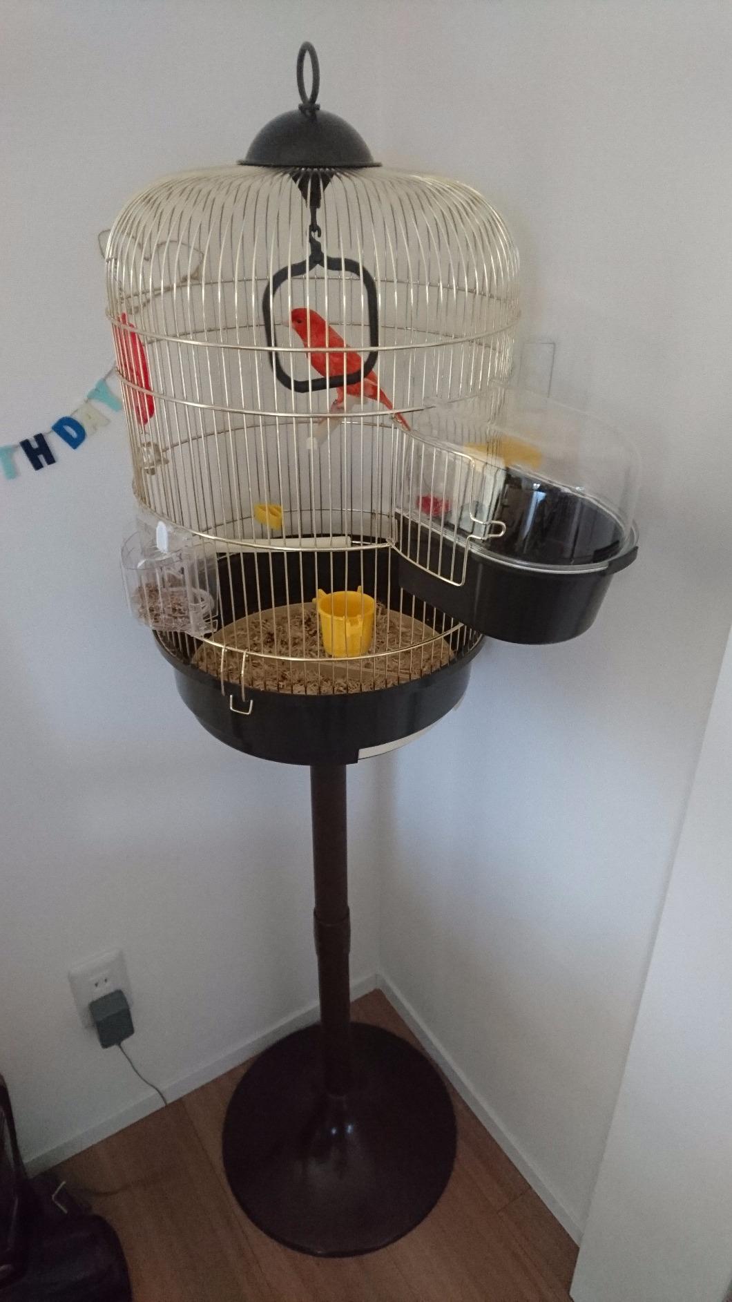 Discret et solide