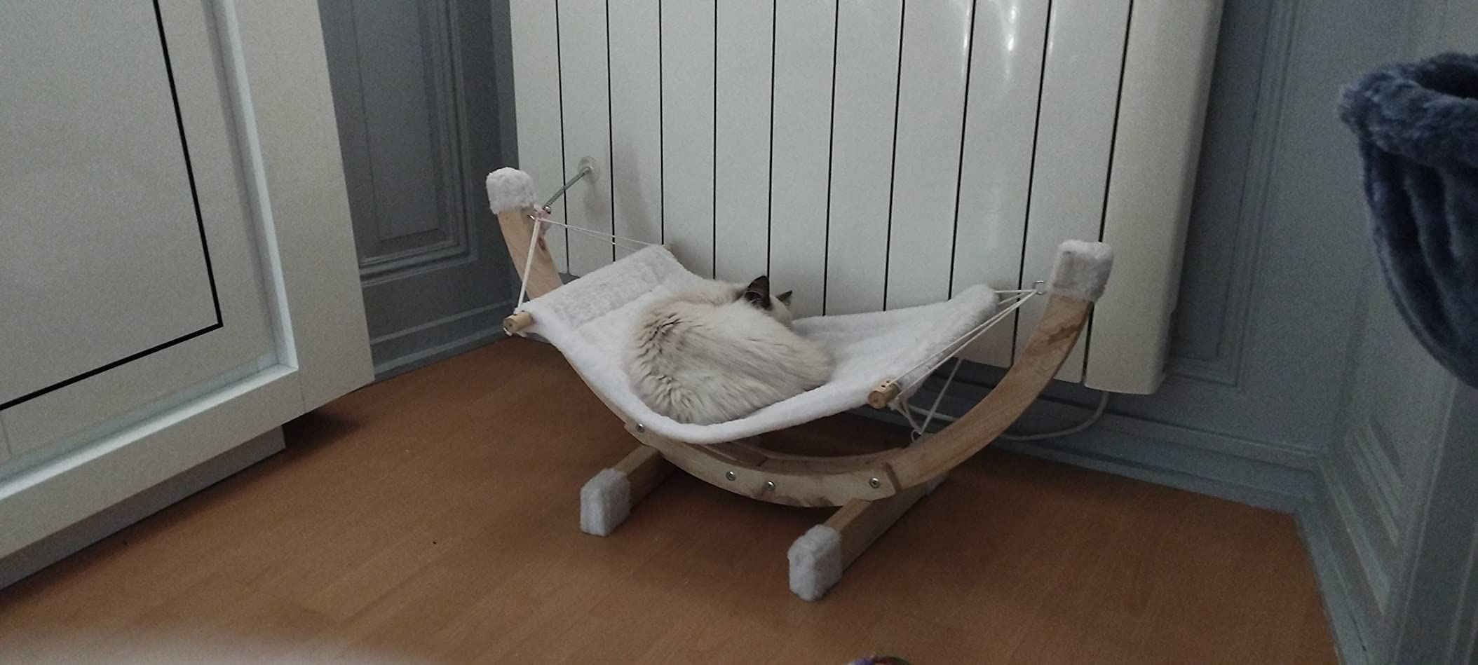 Adopté dès le premier soir
