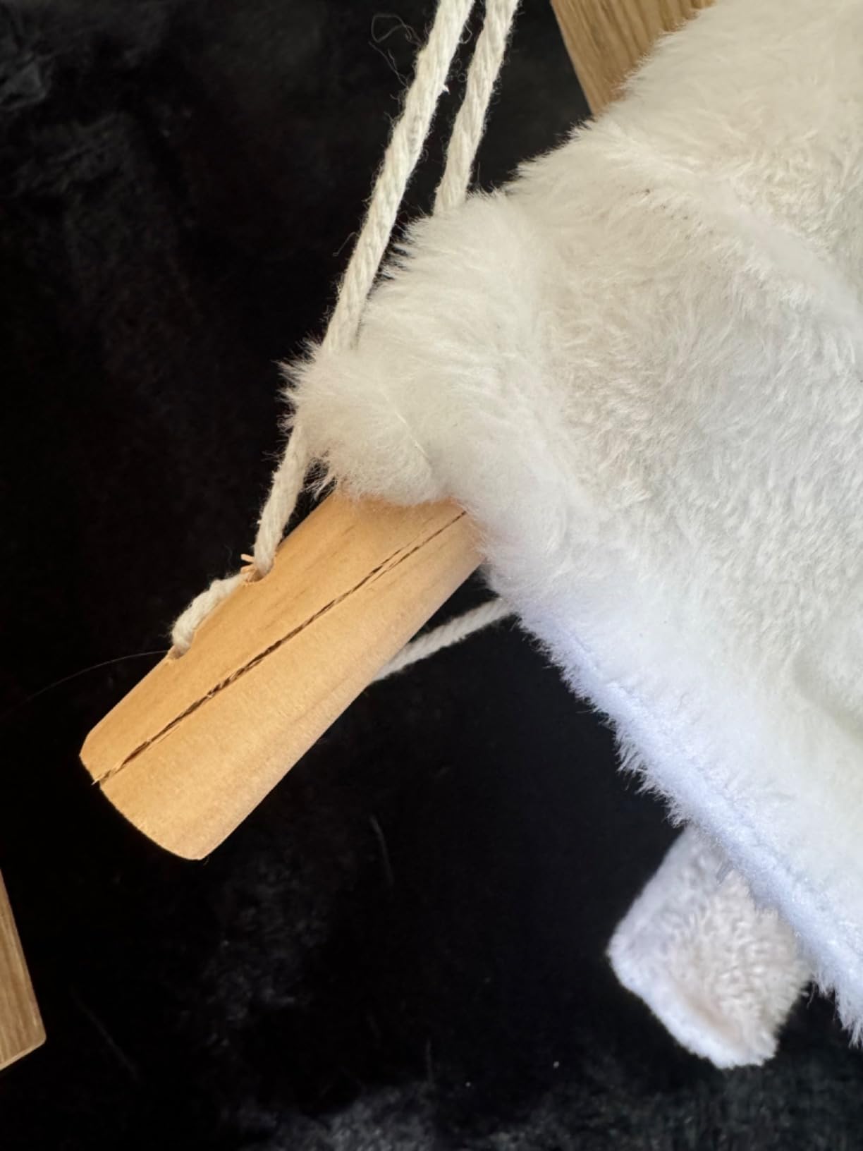 Idéal pour personne âgée et chat calme
