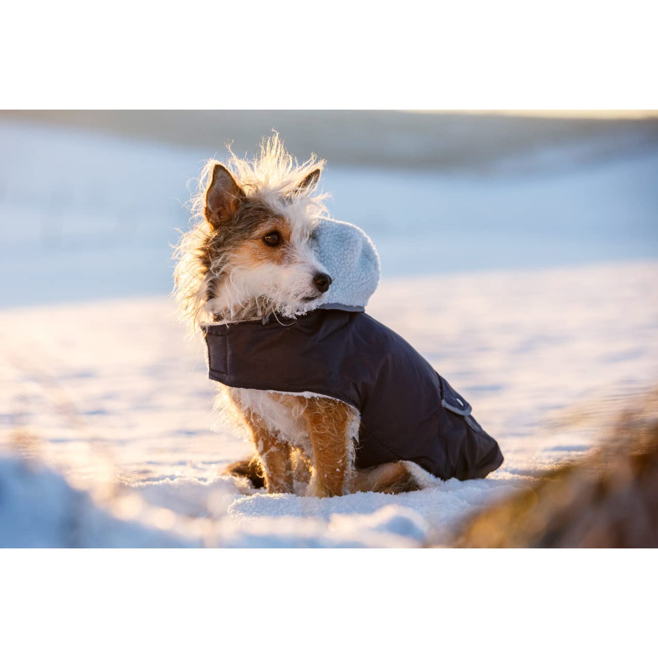 kerbl-pet-manteau-chaud-pour-chien-teddy-48-cm-avec-bandes-r-fl-chissantes image 3