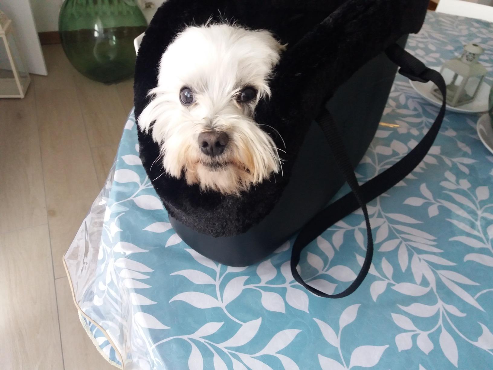 Cosy et pratique