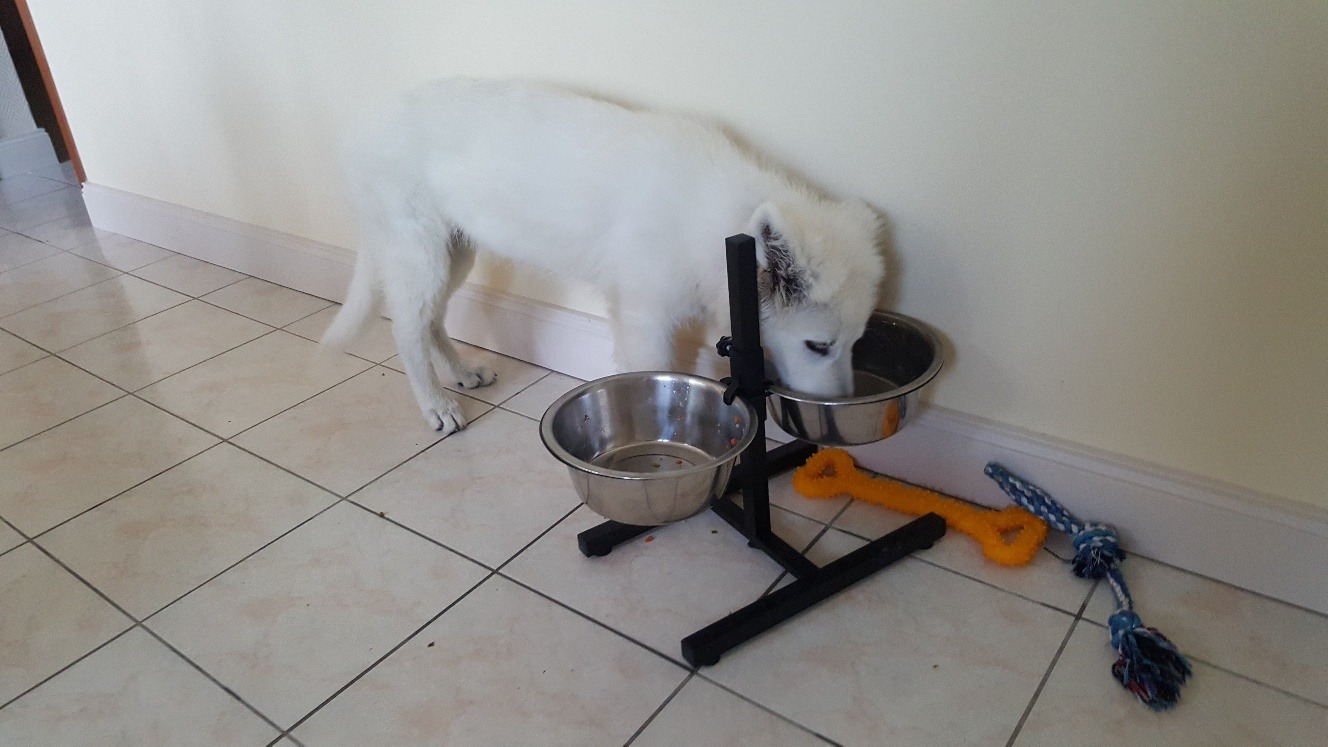 Pratique et stable