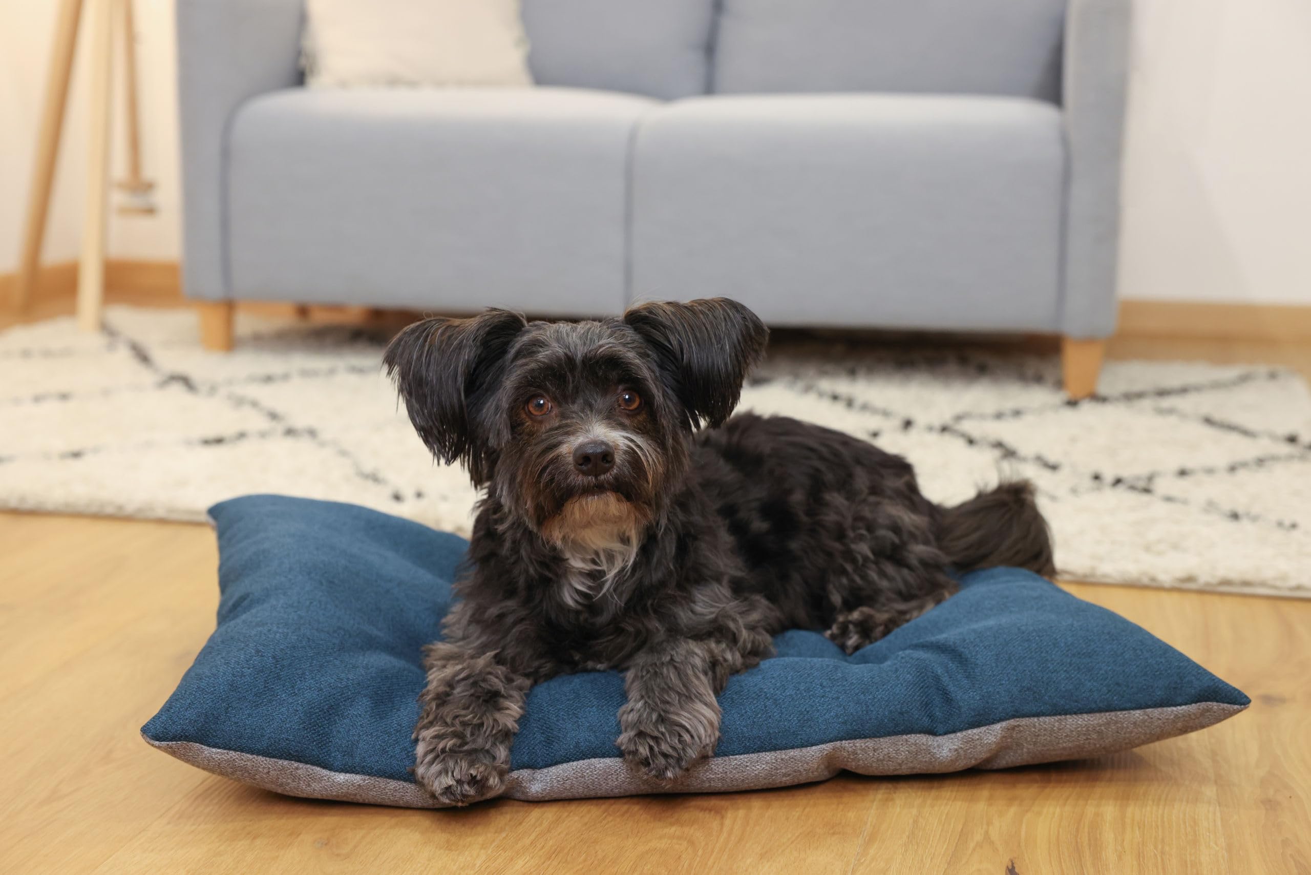 kerbl-pet-ely-coussin-r-versible-chiens-et-chats-gris-p-trole-75x115-cm image 6