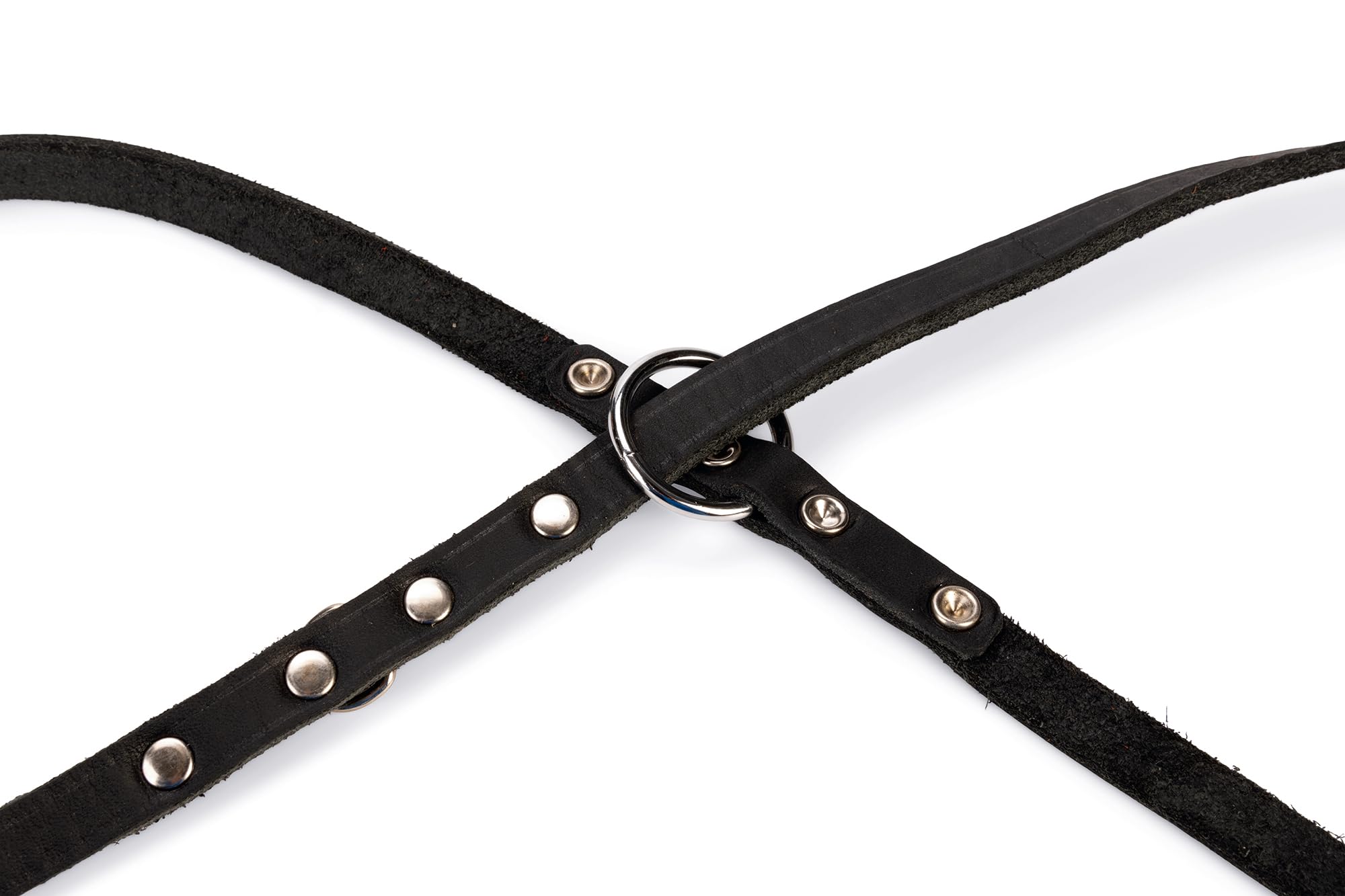 karlie-rondo-laisse-en-cuir-avec-rivets-pour-chien image 3