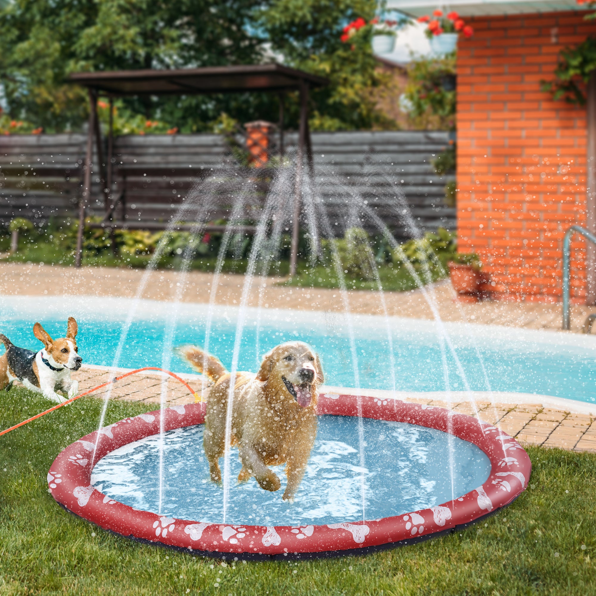 pawhut-tapis-piscine-splash-pad-chien-pliable-170-cm-avec-sprinkler-bleu-c-rul-e image 3
