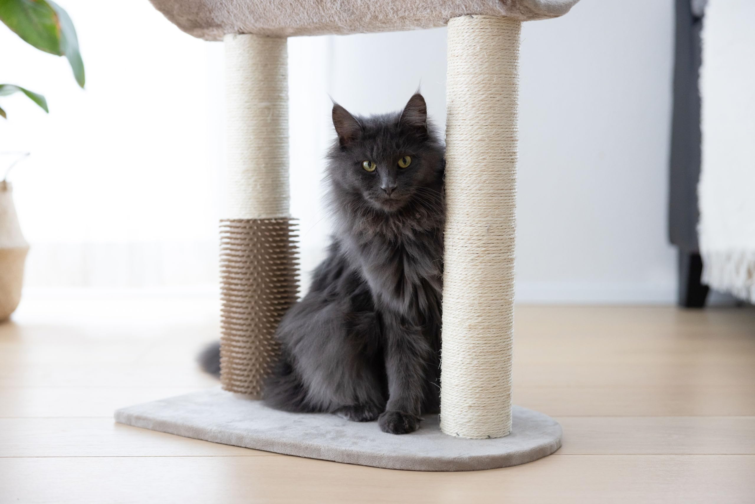 kerbl-pet-arbre-chat-ambiance-taupe-49-x-35-x-56-cm image 6
