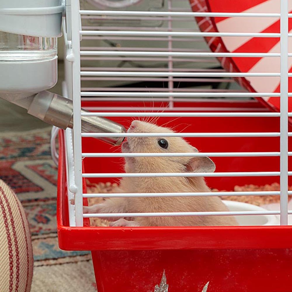 ferplast-coney-island-grande-cage-hamster-et-souris-avec-grande-roue-et-accessoi image 4