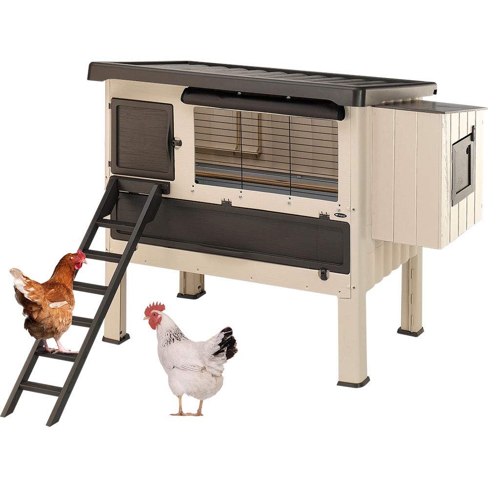ferplast-happy-farm-120-poulailler-d-ext-rieur-en-r-sine-pour-6-poules-140-x-139 image 6